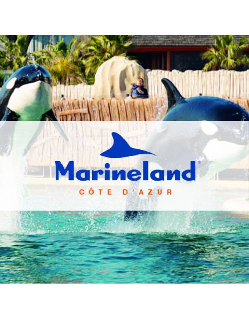 Marineland500x500px_Plan de travail 1.jpg